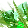 Grupo Papalotla